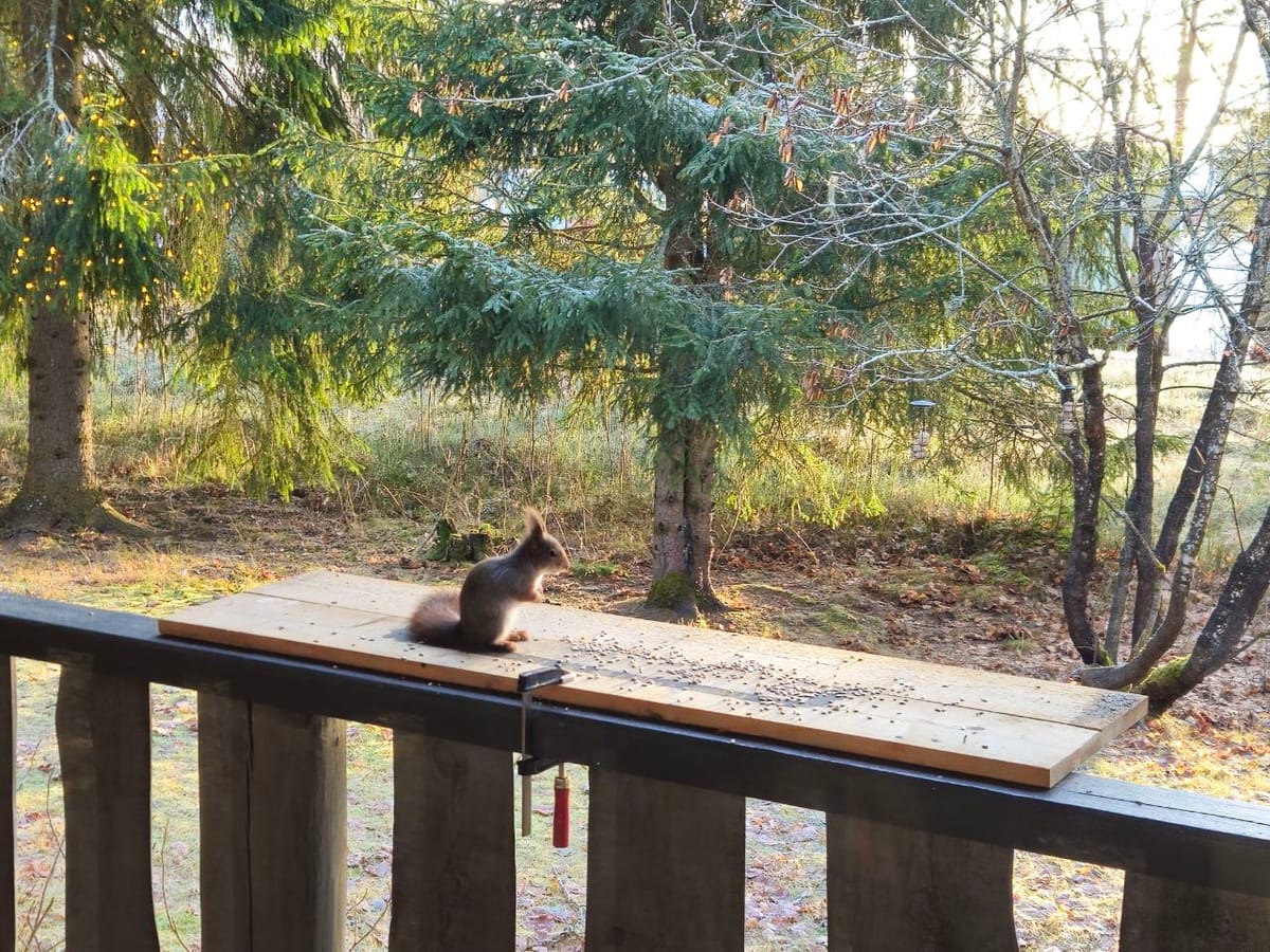 Zweden 2 & Noorwegen