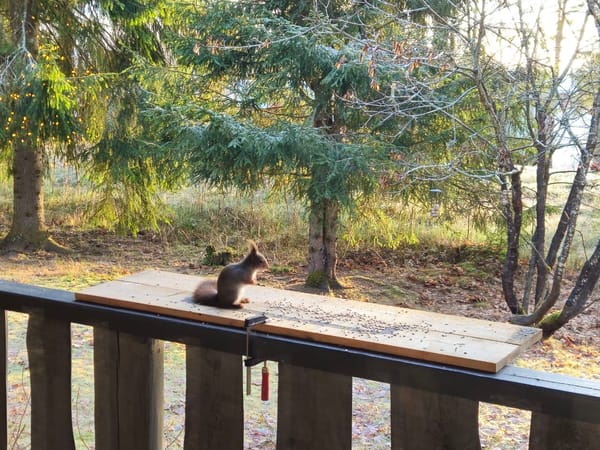 Zweden 2 & Noorwegen